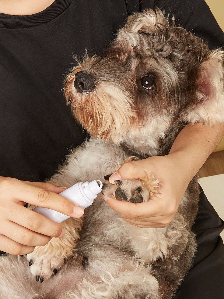 High Power Electric Charging Of Pet Nail Grinder